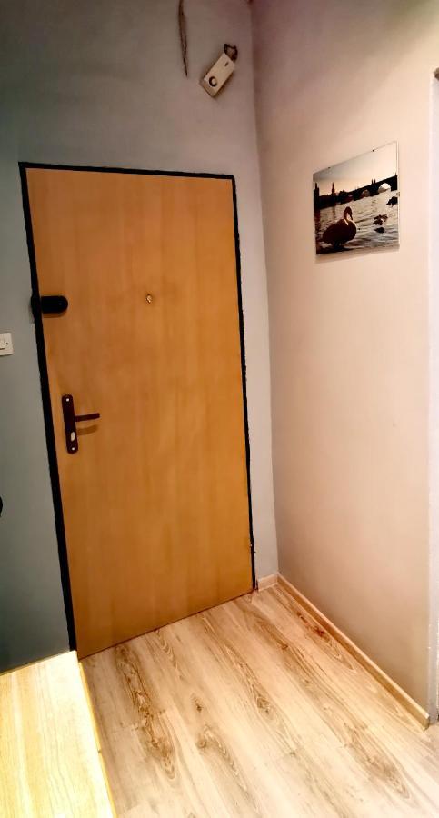 Apartament Milka W Dusznikach Zdroju Duszniki Zdrój Exterior foto